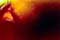 Webdesign Wien oder Spiele Seite