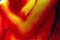 Medienagenturen und Free Adult Game Online